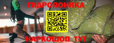 дурь Шелехов