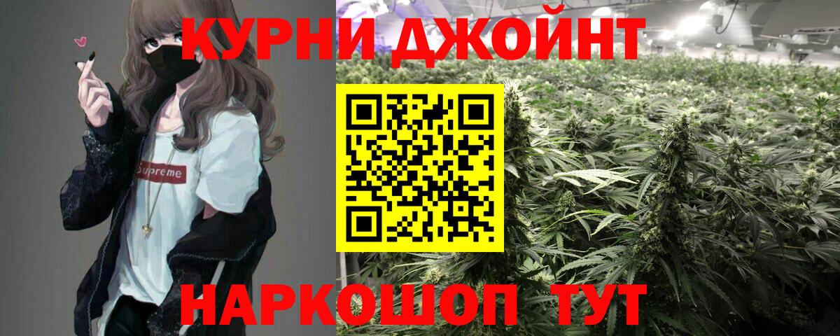 Канабис MAZAR  Каннабис сатива  Конопля ГИДРОПОН  Барнаул  Вход с VPN 